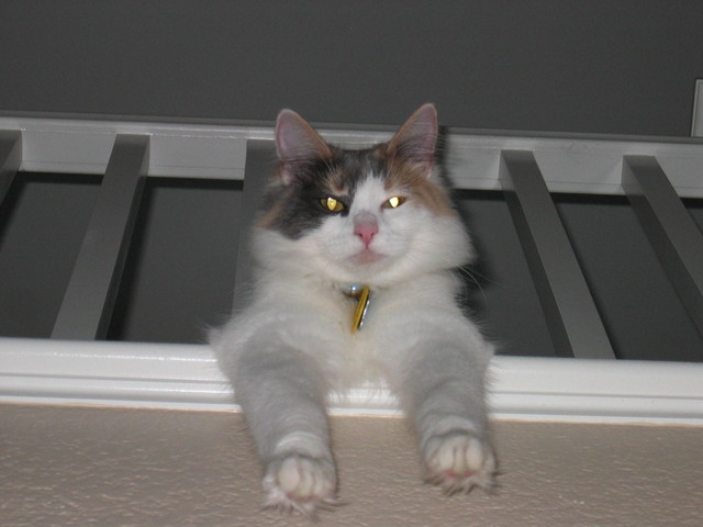 May 4, 2007