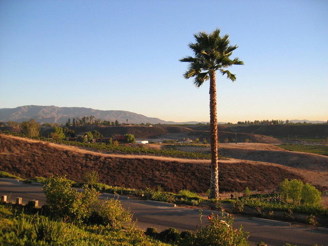 Winery View