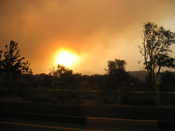 Taken While Evacuating