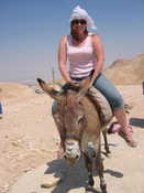 Me & Donkey