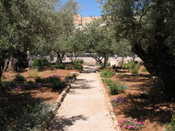 Garden of Gethsemane