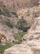 Waterfall at Ein Gedi