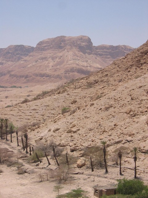 View at Ein Gedi