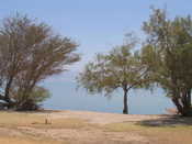 View of Dead Sea from Ein Gedi