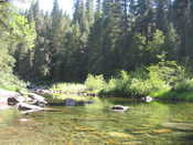 Creek in Wawona