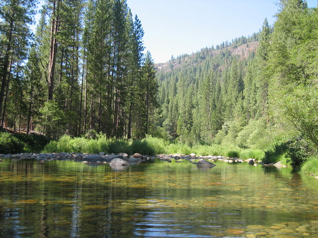 Creek in Wawona