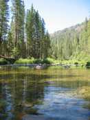 Creek in Wawona