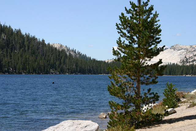 Tenaya Lake at Tuolumne