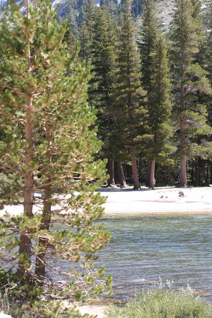 Tenaya Lake at Tuolumne