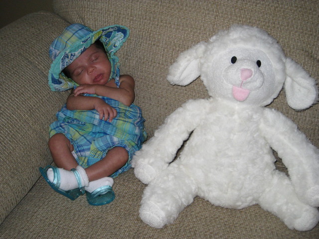 5 Weeks Old (Sept 2, '09) - "Look at this lame hat my mommy made me wear!"