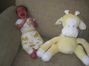 6 Weeks Old (Sept 9, '09) - Preston isn't to happy with the giraffe this week...