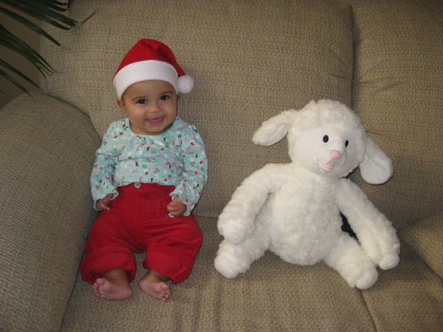 21 Weeks Old (Dec 23, '09) - In the Christmas Spirit!