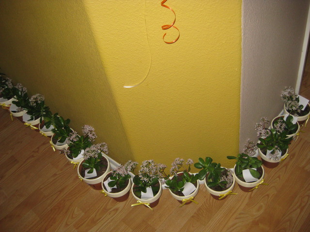 Plant Favors