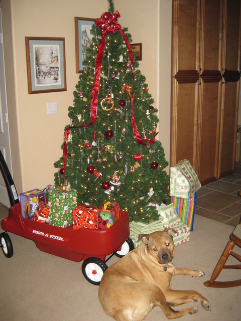 The tree & gifts on Xmas Eve