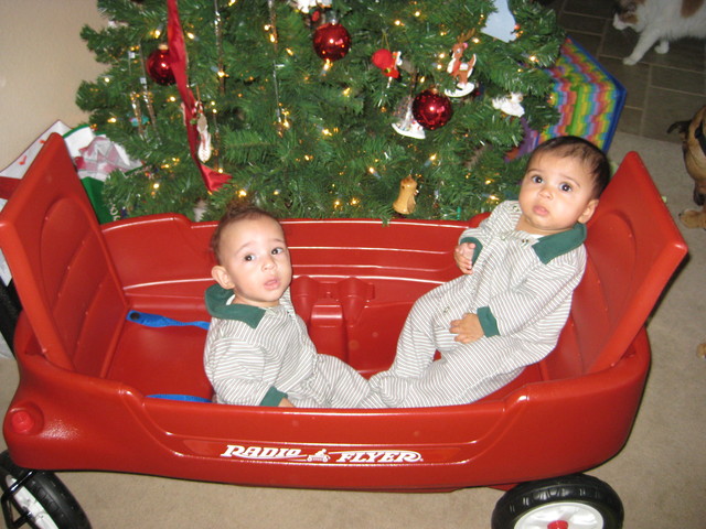 New Radio Flyer from Grandma