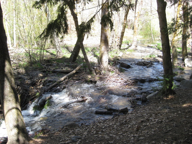 View of the River