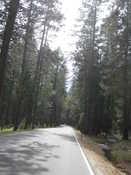 Driving to Wawona