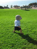 Preston playing in the grass