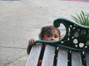 Rehearsal Dinner:  Jasmine decided to LICK the bench