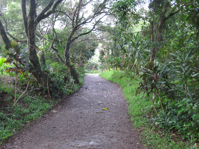 Road to Hana: Small hike to Twin Falls