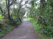 Road to Hana: Small hike to Twin Falls