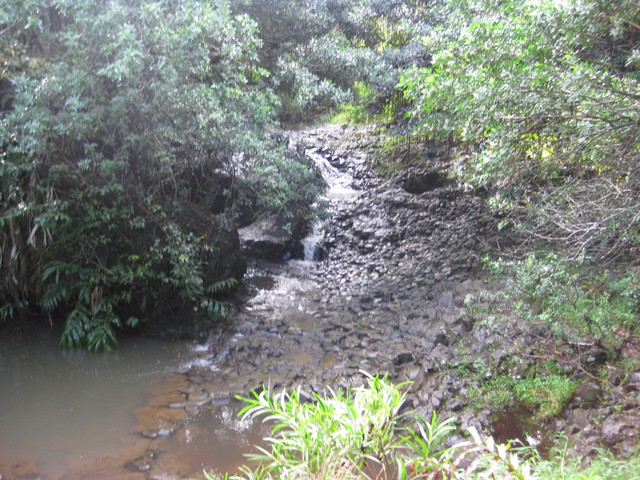 Road to Hana: Twin Falls