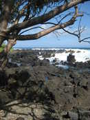 Road to Hana: Keanae Peninsula