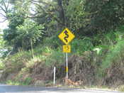 Road to Hana: More than 600 turns!