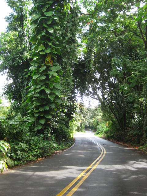 Road to Hana