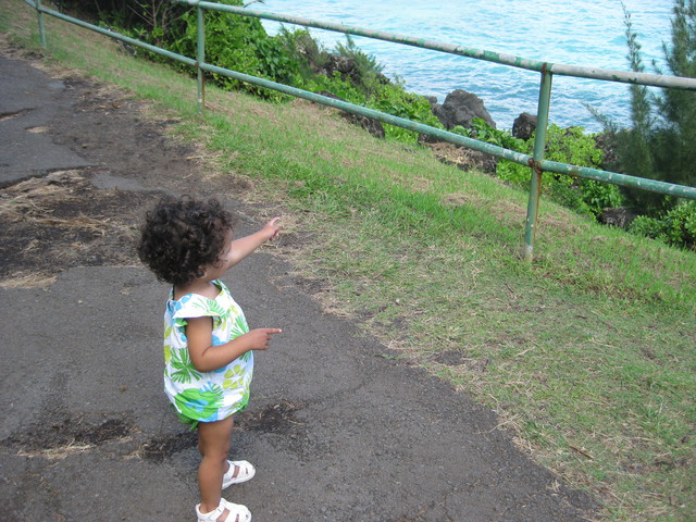 Road to Hana:  Oooh look!