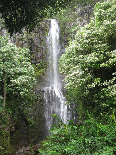 Road to Hana: Wailua Falls