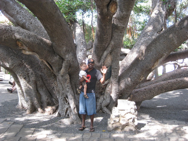 Banyan Tree Park: Mike & Preston with the big tree