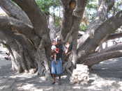 Banyan Tree Park: Mike & Preston with the big tree