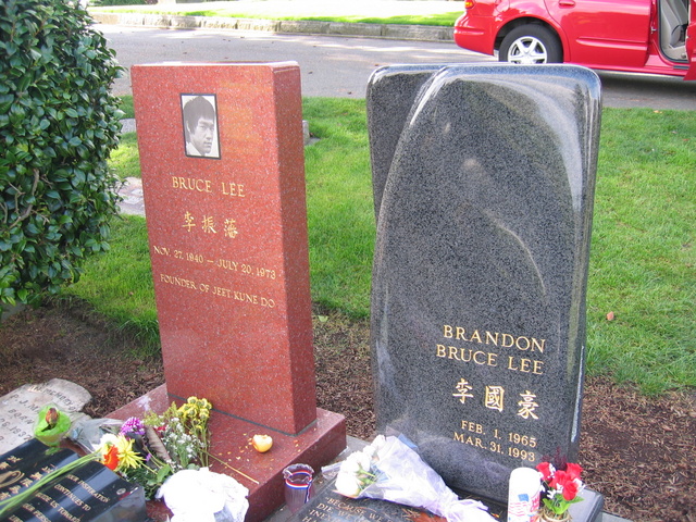 Bruce Lee  & Brandon Lee 1