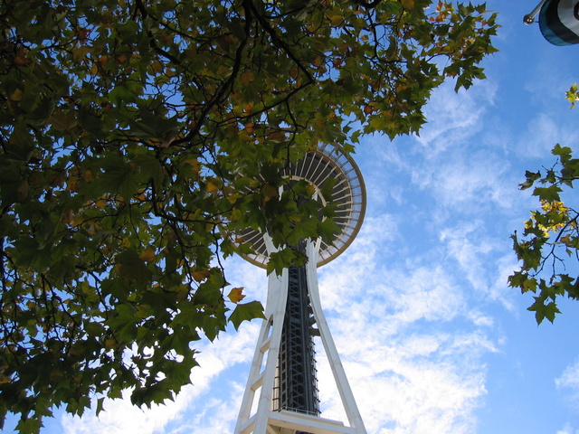 Space Needle 3