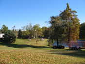 Aunt Elda's Farm & Pond