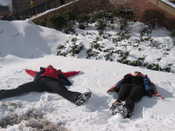 Making Snow Angels