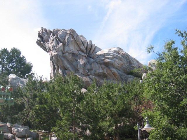 California Adventure Bear