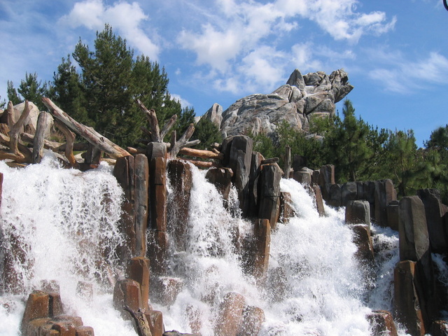 Bear & Waterfall