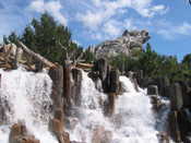 Bear & Waterfall