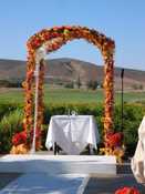 Wedding Arch