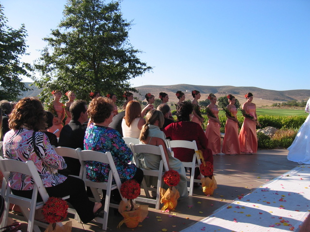 The MANY bridesmaids!