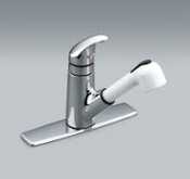 Laundry Faucet
Moen Integra
Pull Out
