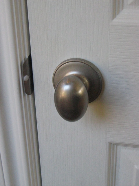 Doorknobs

Egg Shaped
Brushed Nickel