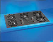 Gas Cooktop

Whirlpool Gold
5 burner