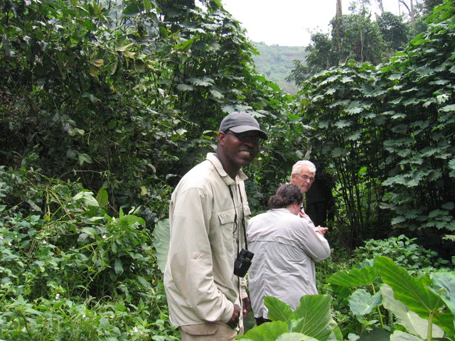 Walking through the jungle