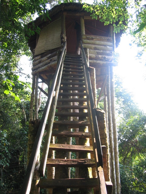 Kibale Treehouse - we didn't end up staying here!