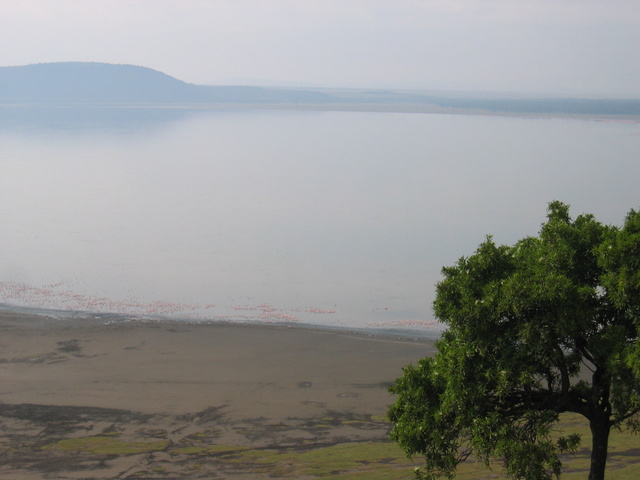 View of Lake Nakuru