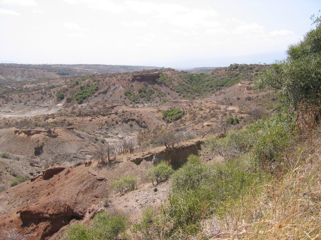 Olduvai Gorge 2