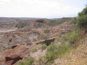 Olduvai Gorge 2